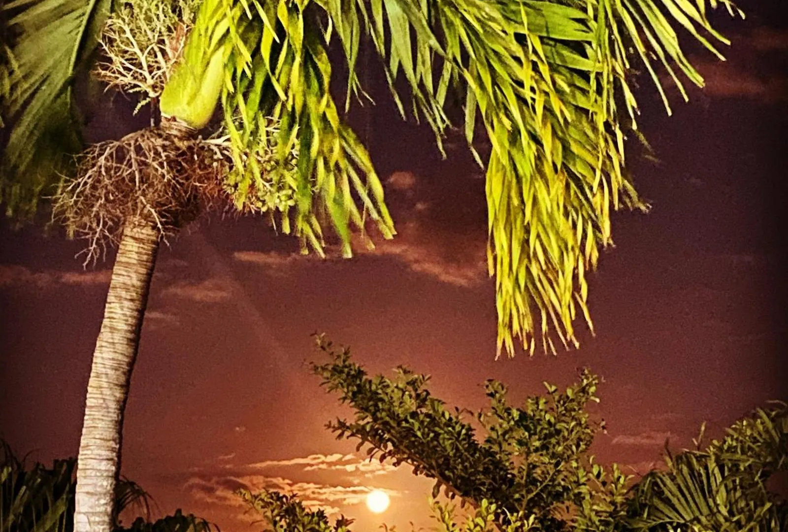 Villa Anse Vinaigri - Plage à pieds Le Gosier  Guadeloupe
